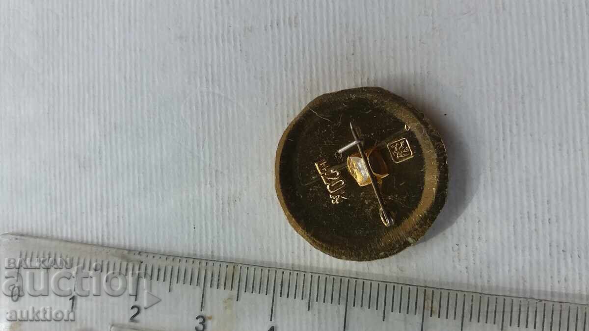 Delivery of SERPUKHOV BADGE - RUSSIA