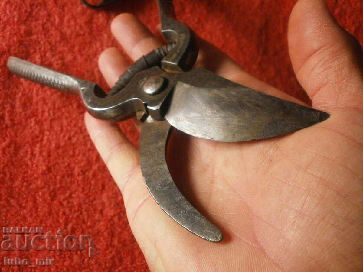 СТАРА НЕМСКА ЛОЗАРСКА НОЖИЦА - 6