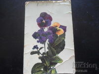 Old postcard, XII.1914, town of Sopot, Karlovo district