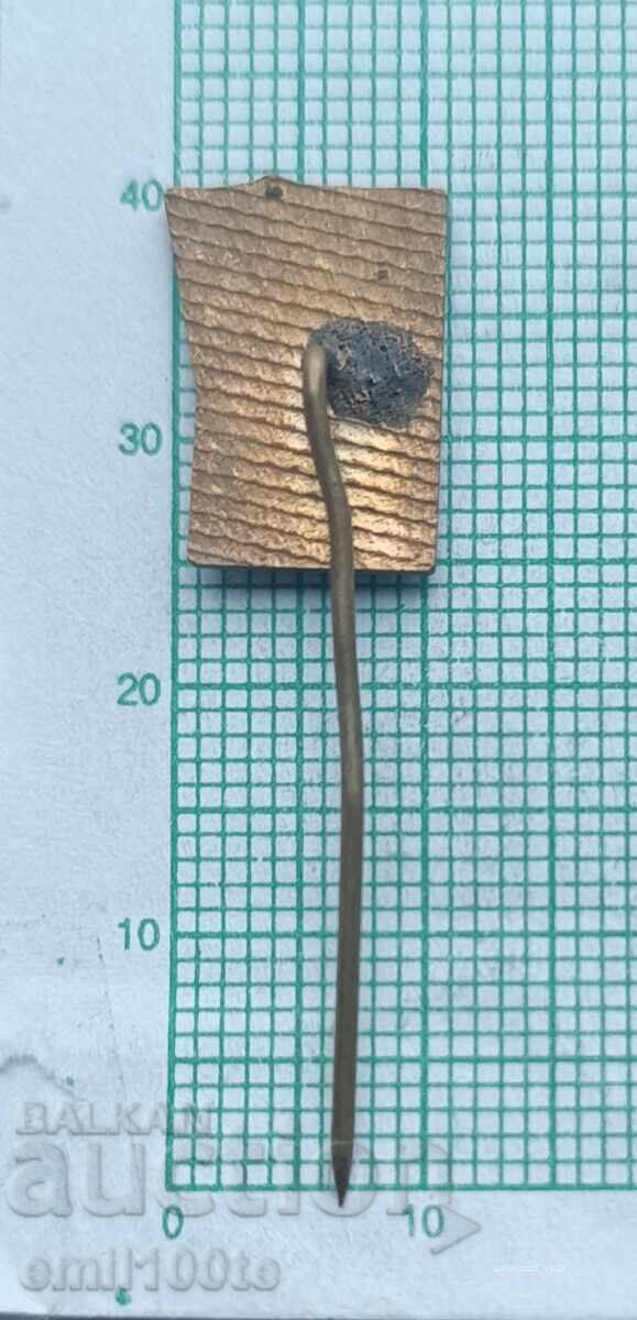 Badge - Sports All-Around Rodina - 5