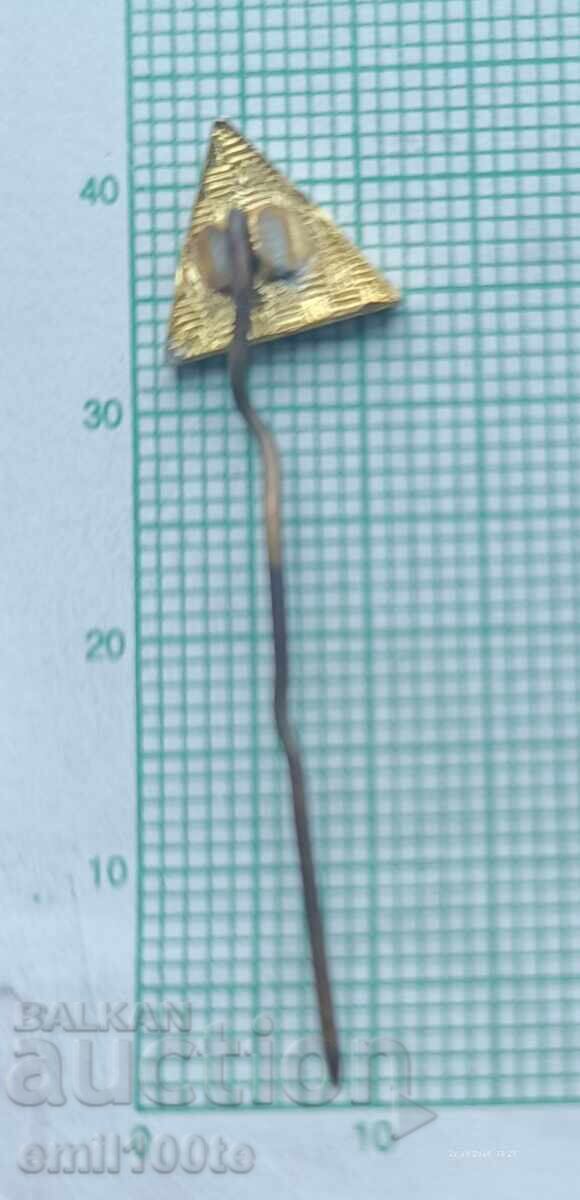 Доставка на Значка- ГС на БТС Ориентиране