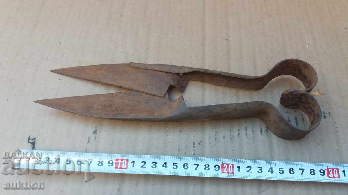 OLD SHEEP SHEARS - 6