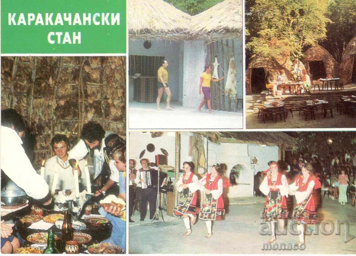 Carte poștală veche - Nisipurile de Aur, Staul de Karakachan, Mix