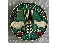 Agricultural Machinery "Gryadovo" (or "Gryadovo" Agricultural Complex)