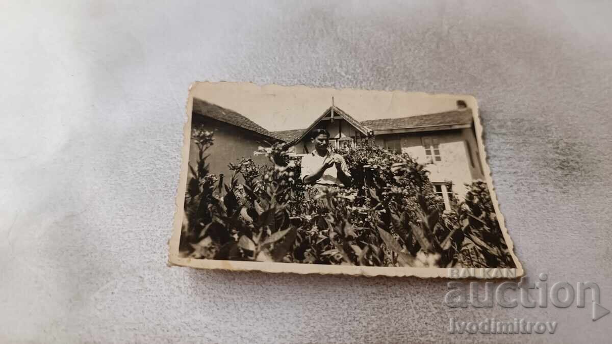 Φωτογραφία Δύο Μογίλι Νέος άνδρας στην αυλή σπιτιού 1931