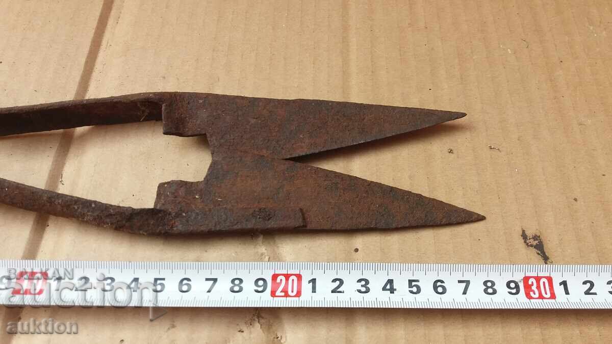 Auction  OLD SHEEP SHEARS