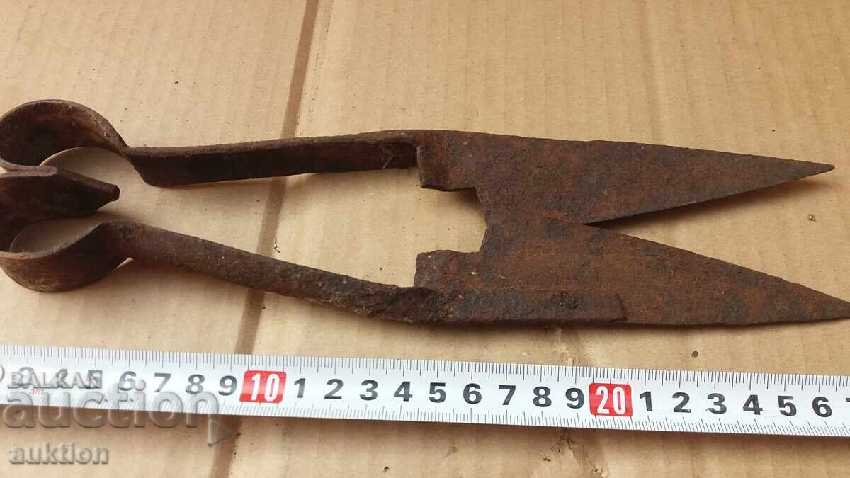 Delivery of OLD SHEEP SHEARS