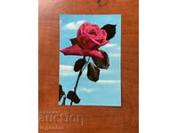 OLD GREETING CARD ROSE - 1970