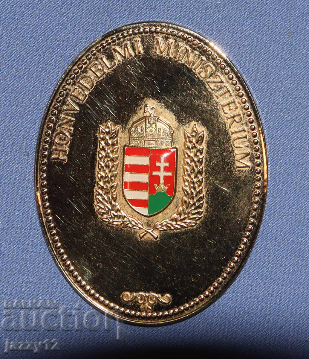 Plachetă cu medalie de onoare militară ungară în cutie - 6