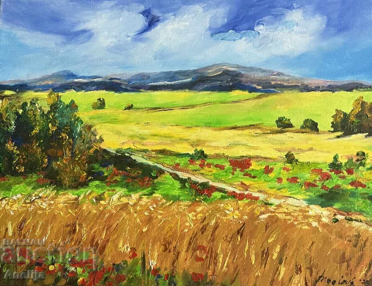 Pictures of the rural landscape of the village of Stolat