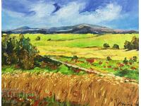 Pictures of the rural landscape of the village of Stolat