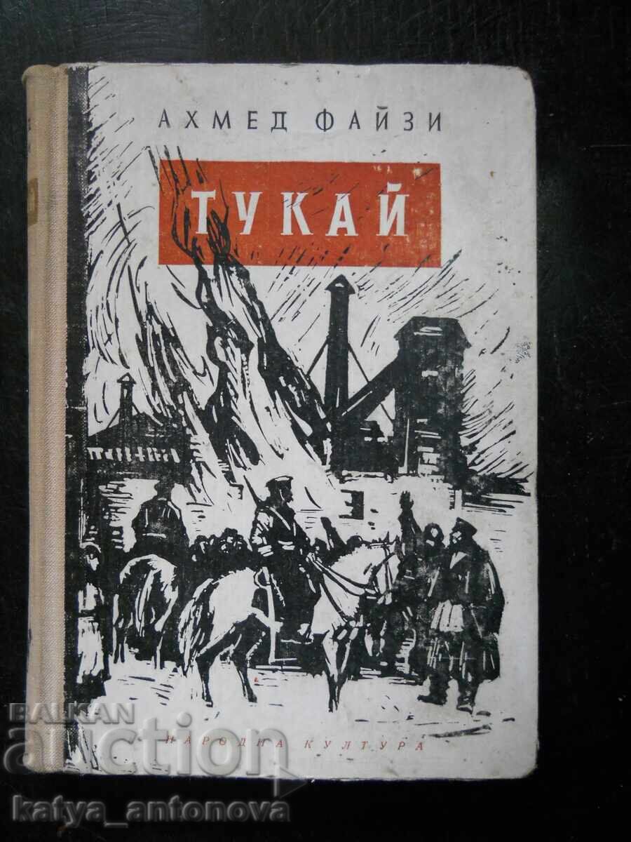 Ахмед Файзи "Тукай" Ахмед Файзи "Тукай"