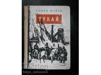 Αχμέτ Φαϊζί "Τουκάι"