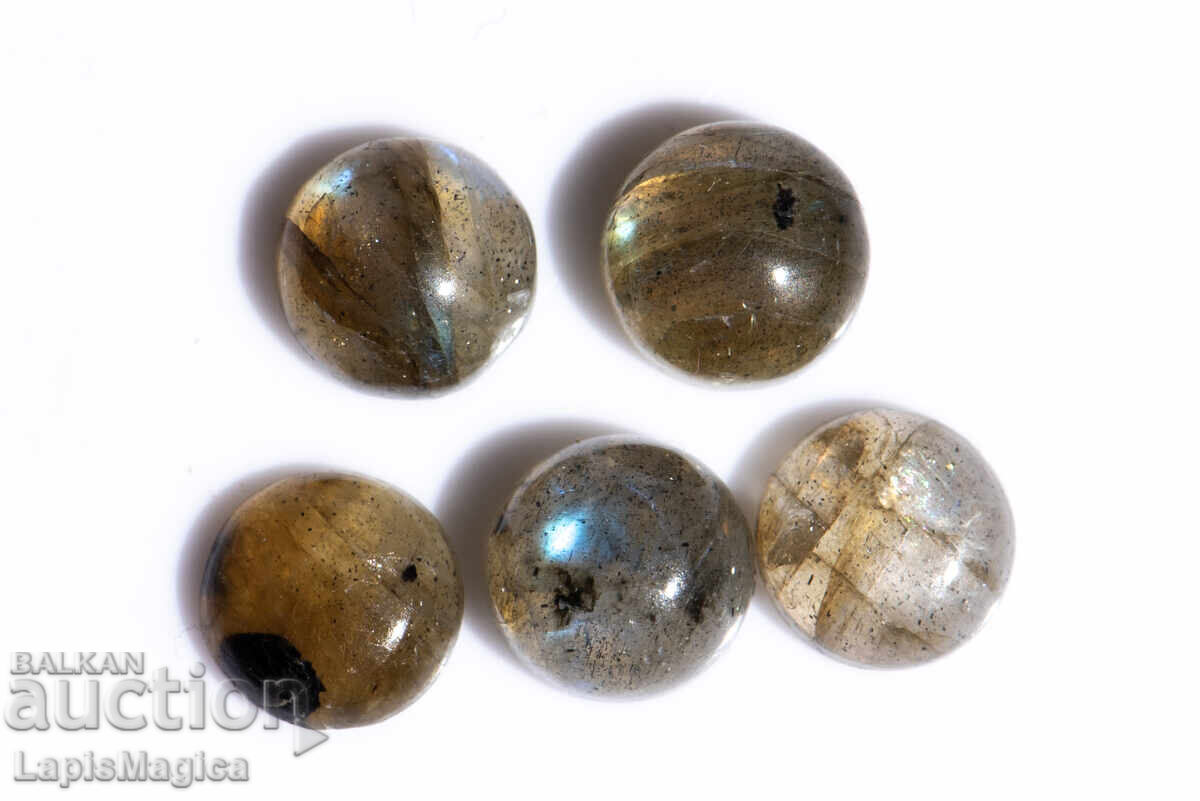 5 pieces labradorite 6mm 4.41ct round cabochons