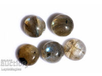 5 bucăți labradorit 6mm 4.41ct cabochon rotund