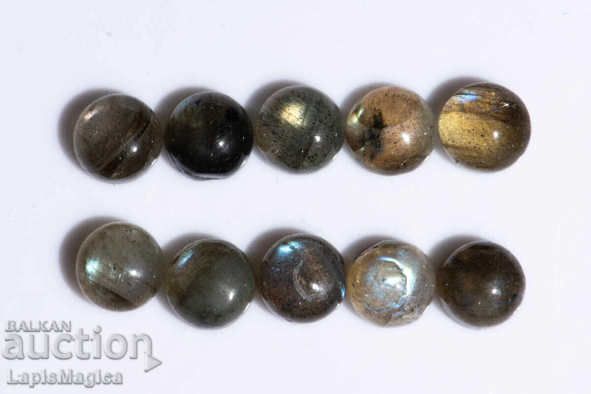 10 bucăți labradorit 6mm 11.48ct cabochon rotund