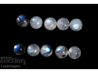 10 bucăți piatră de lună 5mm 6.20ct cabochon rotund