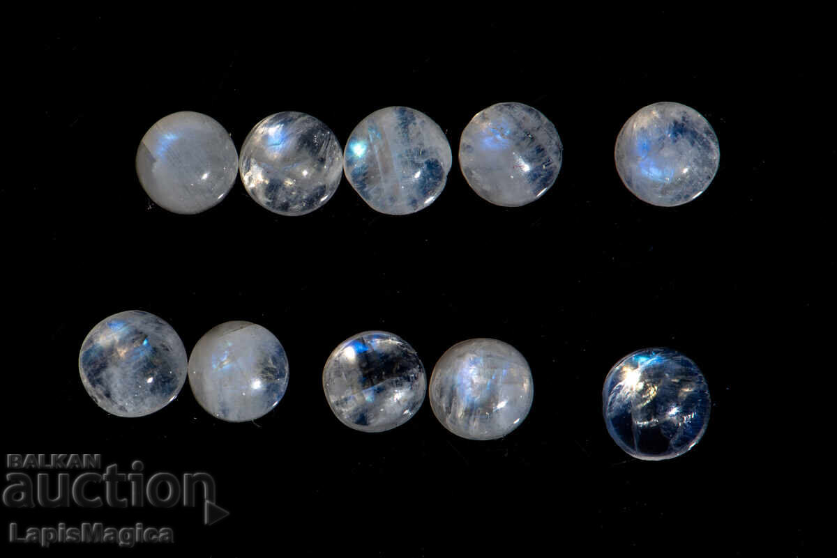 10 pieces moonstone 5mm 6.34ct round cabochons