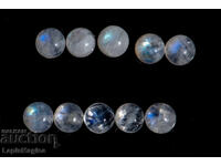 10 bucăți piatră de lună 5mm 6.41ct cabochon rotund
