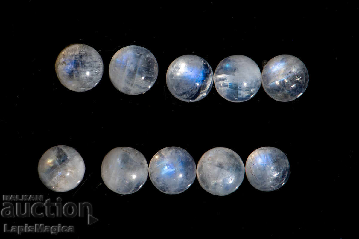 10 pieces moonstone 5mm 6.33ct round cabochons 10 pieces moonstone 5mm 6.33ct round cabochons