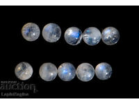 10 pieces moonstone 5mm 6.33ct round cabochons