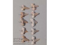 Зъби от акула