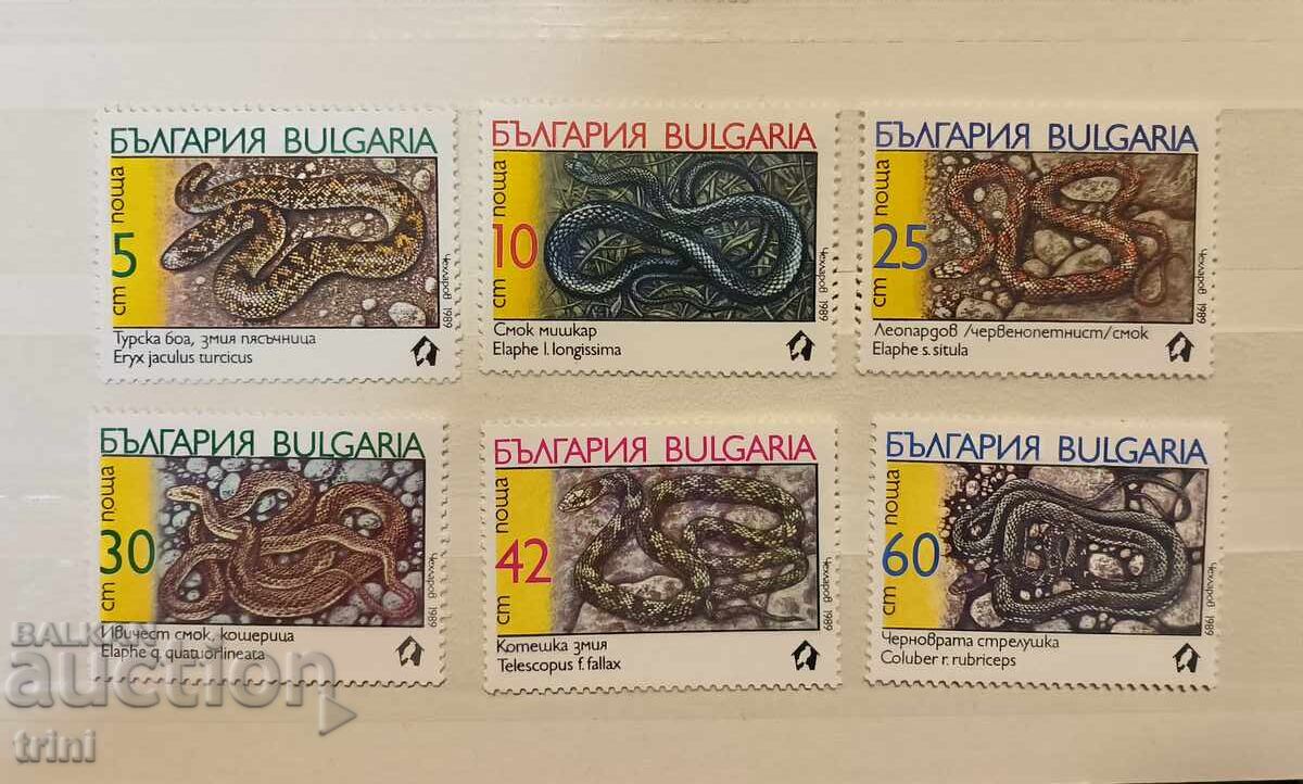 Bulgaria 1989. Șerpi Bulgaria 1989. Șerpi