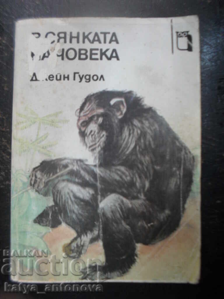 Джейн Гудол "В сянката на човека"