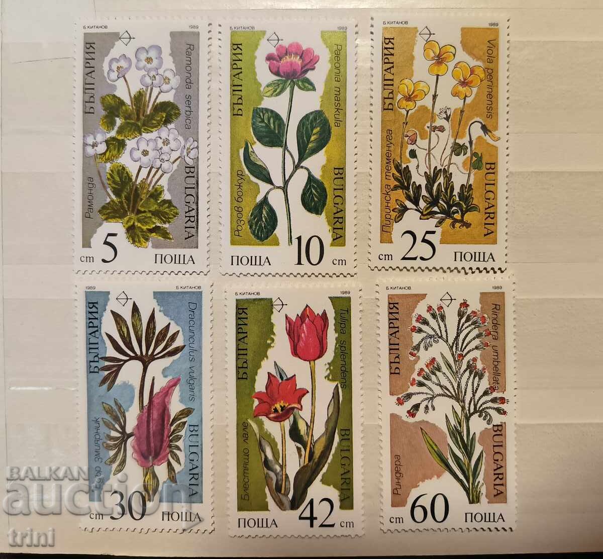 Bulgaria 1989. Plante pe cale de dispariție