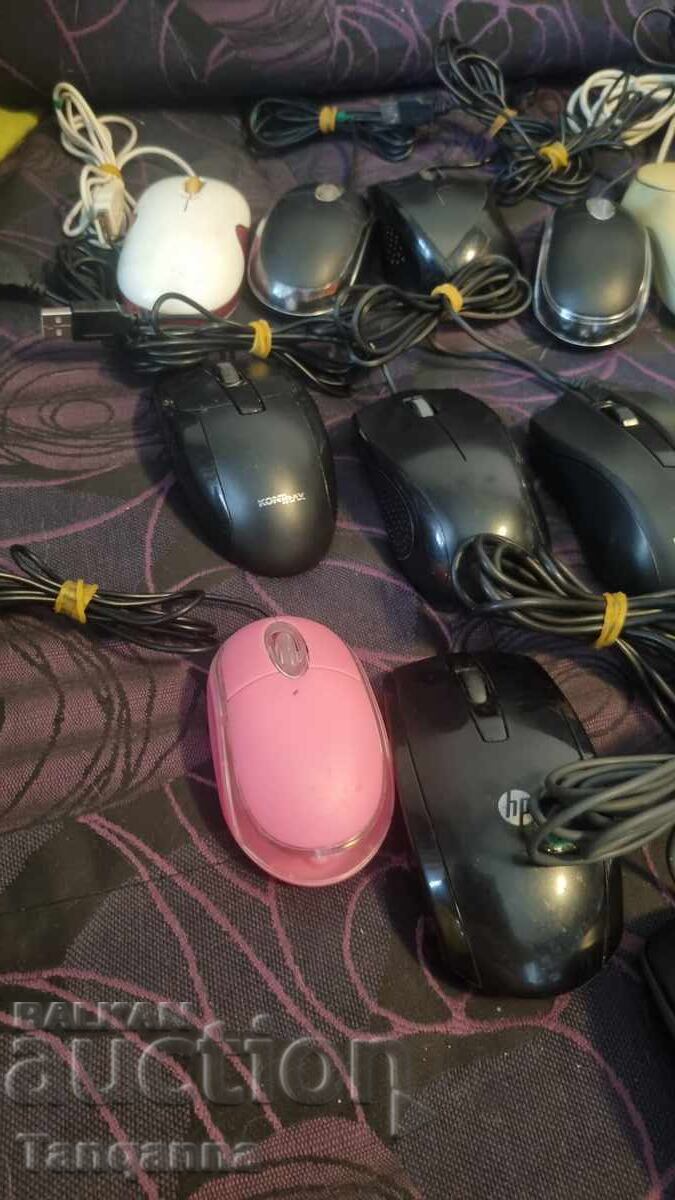 USB Bears with price 50.00 BGN | € 25.56 USB Bears with price 50.00 BGN | € 25.56