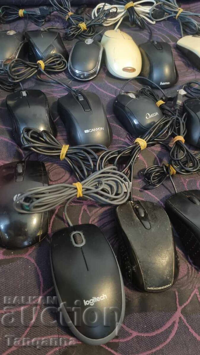 Auction USB Bears Auction USB Bears