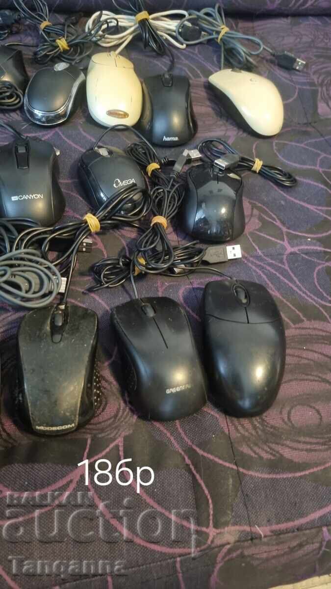 Delivery of USB Bears Delivery of USB Bears