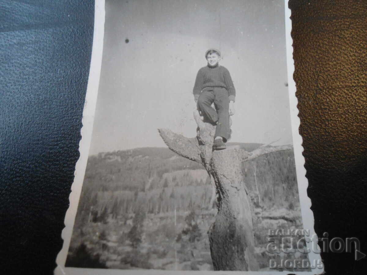 παλιά φωτογραφία παλιά φωτογραφία