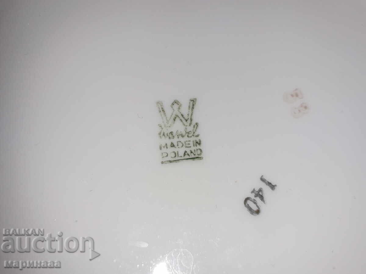 CANĂ MARE ''WAWEL''. POLONIA - 5