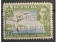 Бермудски острови 1938 Личности/Птици