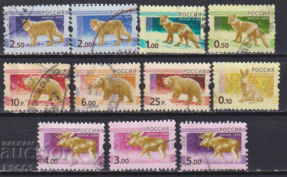 Timbre ștampilate Fauna Animale Sălbatice 2008 din Rusia