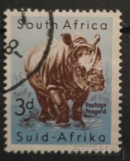 South Africa 1954 Fauna