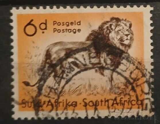 South Africa 1954 Fauna