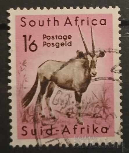 South Africa 1954 Fauna
