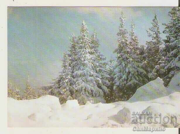 Картичка  България  Зимен пейзаж 10*