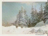 Картичка  България  Зимен пейзаж 10*