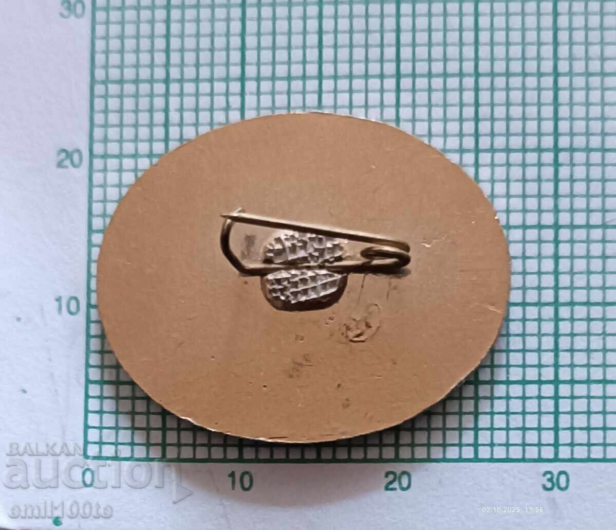 Παράδοση Σηματάκι - Πασαυτοτράνς Κίεβο Παράδοση Σηματάκι - Πασαυτοτράνς Κίεβο