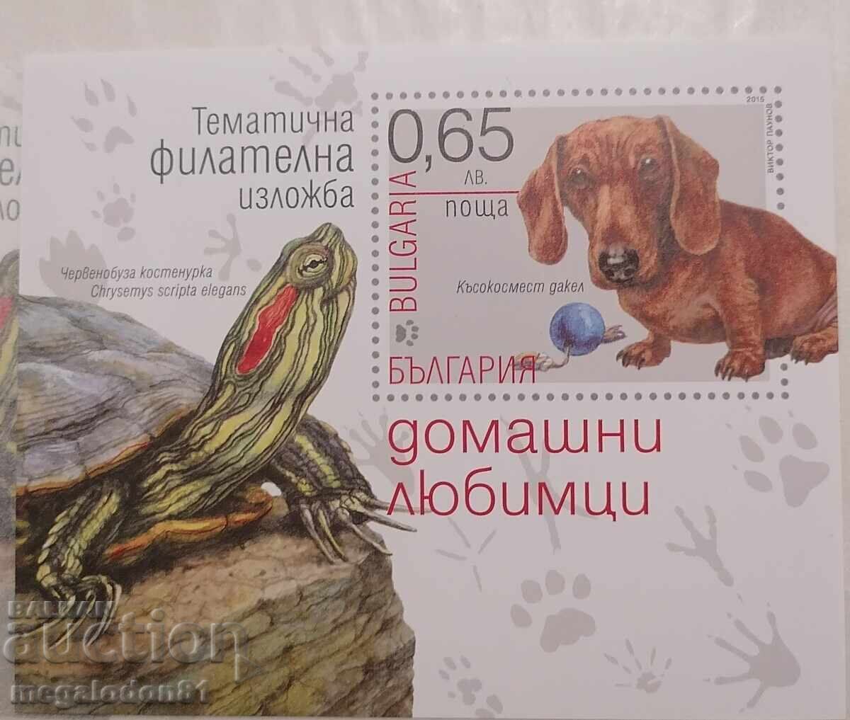 България - блок домашни любимци