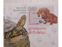 България - блок домашни любимци