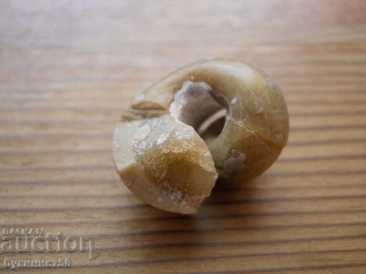 Auction  Opalized Petrified Snail