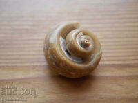 Melc pietrificat opalescent