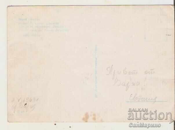 Κάρτα Bulgaria Varna Kurort Druzhba Albatros Beach 1* με τιμή 0.60 BGN | € 0.31 Κάρτα Bulgaria Varna Kurort Druzhba Albatros Beach 1* με τιμή 0.60 BGN | € 0.31