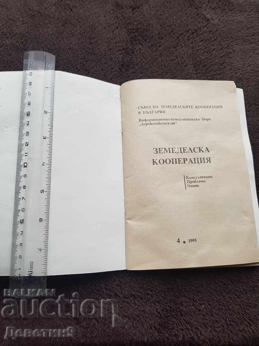 Аукцион Земеделска кооперация - бр. 4, 1995 г.