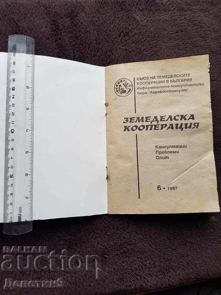 Δημοπρασία Γεωργικός συνεταιρισμός - αρ. 6, 1997