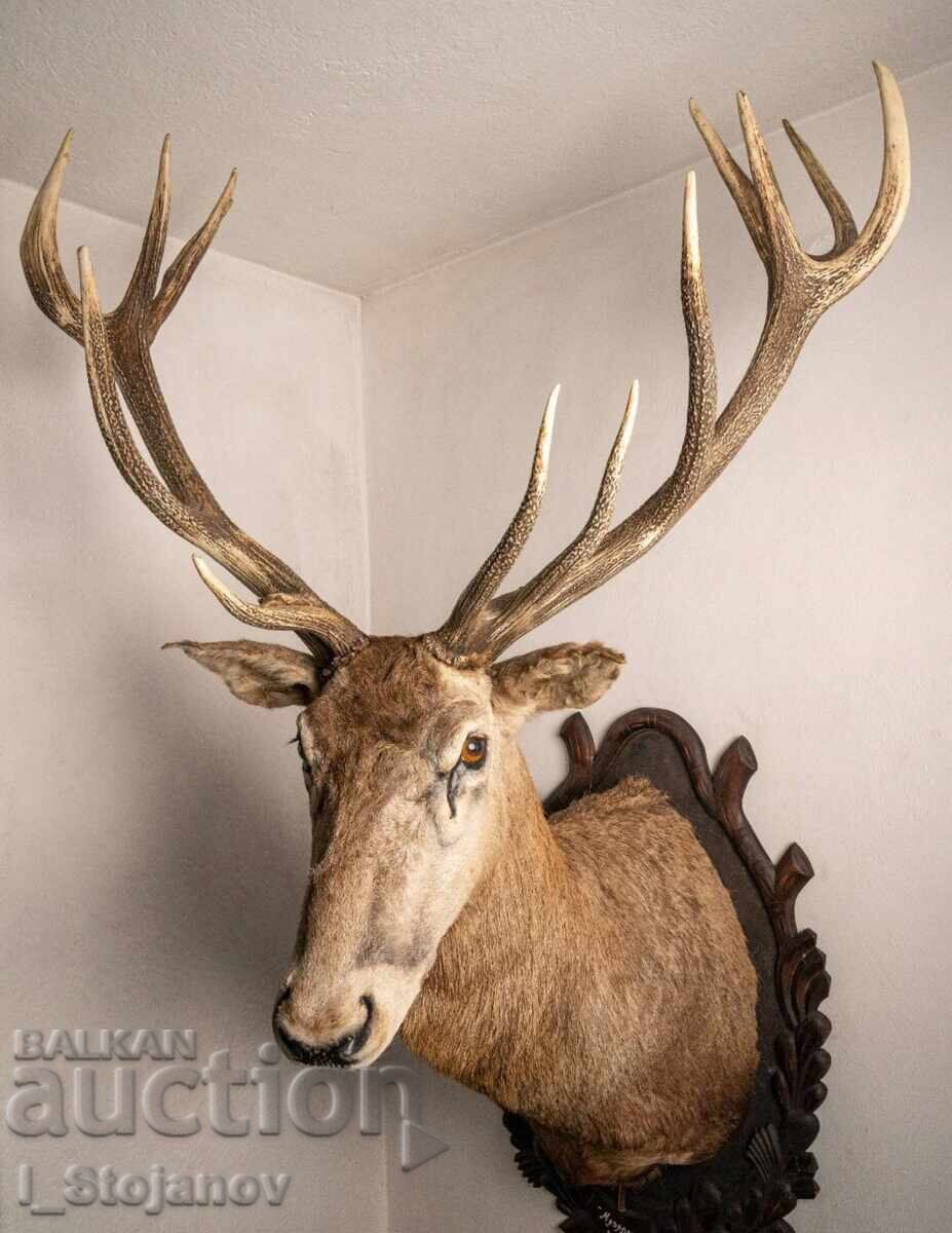 Noble deer - gold medal with price 3900.00 BGN | € 1994.04